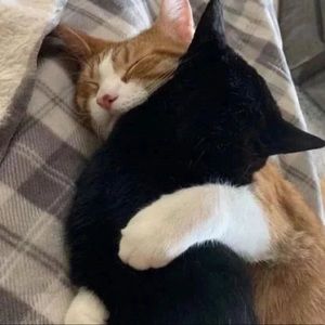 Meet your Posher, Nevaeh